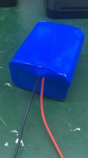Petite batterie rechargeable Li-ion 12V 4000mAh